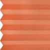 11242 - coral