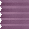 11243 - fuchsia
